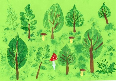 Смешанные и широколиственные леса рисунок