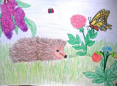 Рисунок на тему Живая природа