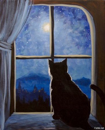Кошки на окошке