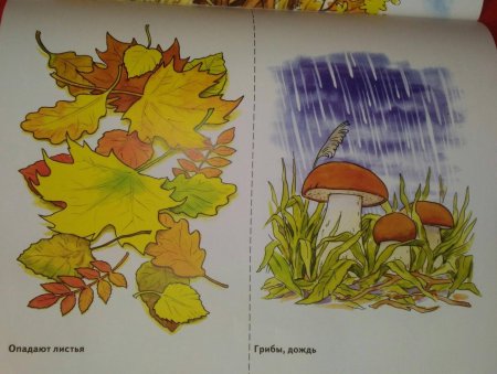 Рисунки на тему осенний Вернисаж для начальной школы