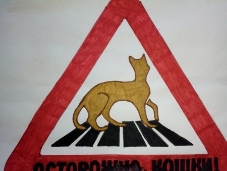 Придумать свой знак дорожного движения