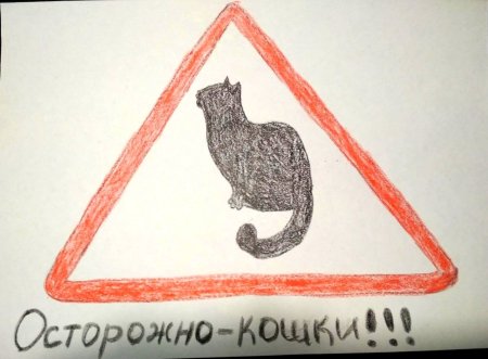 Придумать новый дорожный знак