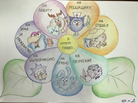 Рисунок Мои права