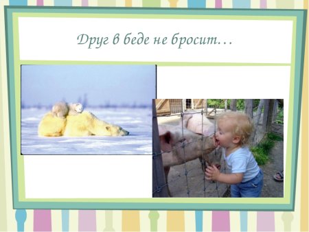 Друг в беде не бросит