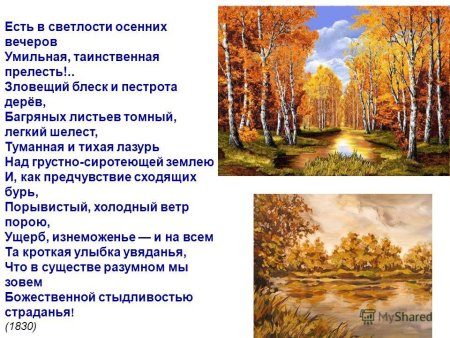 Иллюстрация к стихотворению Есенина белая береза