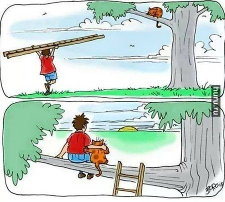 Принятие решений карикатура