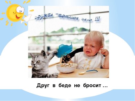Друг друга в беде не бросит