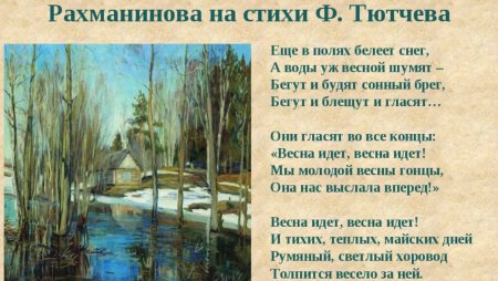 Владимир куш море