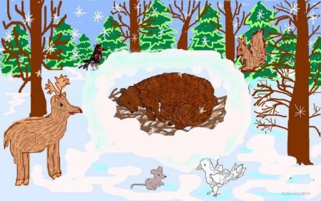 Рисование животных в зимнем лесу