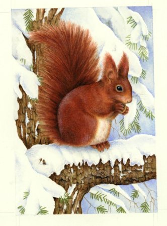 Лесные жители зимой