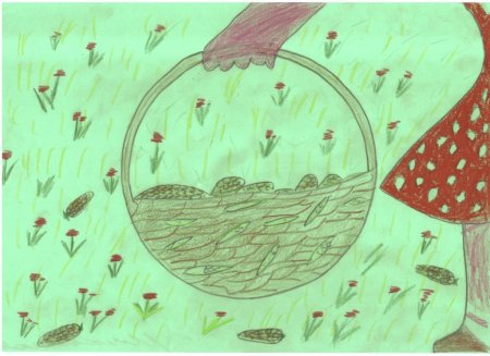 Корзина с еловыми шишками рисунок