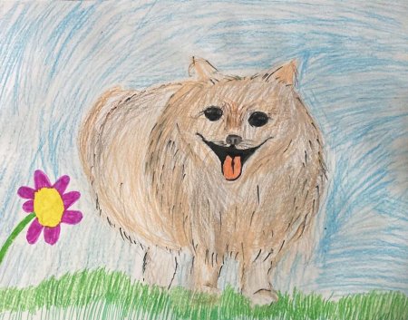 Рисование домашние питомцы