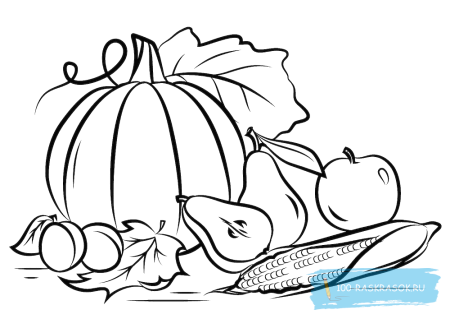 Натюрморт раскраска