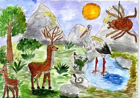 Что такое заповедник для детей