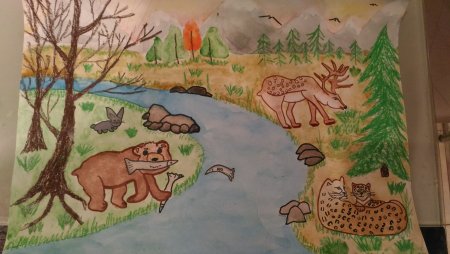 Заповедник рисунок