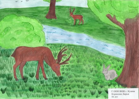 Заповедник рисунок