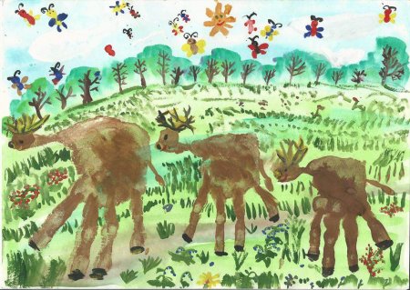 Что такое заповедник для детей