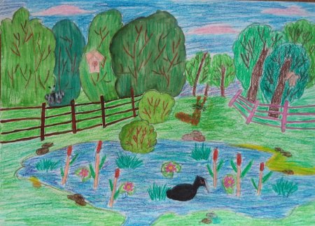 Заповедник рисунок