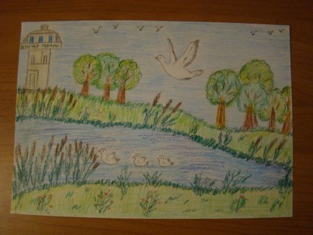 Птичья гавань рисунок для детей