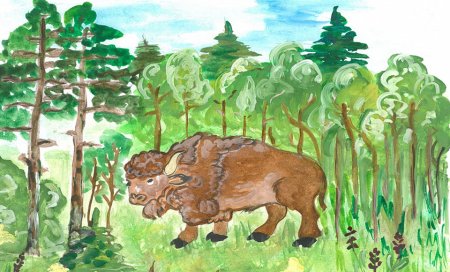 Заповедник рисунок