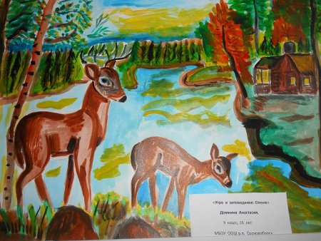 Мир заповедной природы рисунки на конкурс
