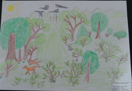 Рисунки заповедника детские