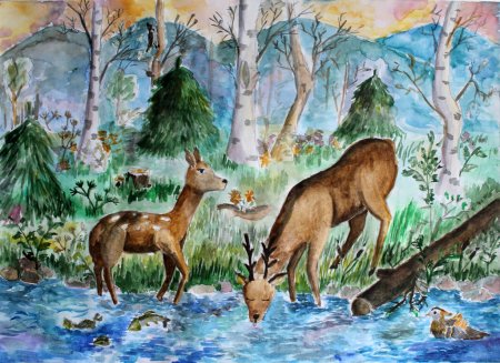 Рисунки природы