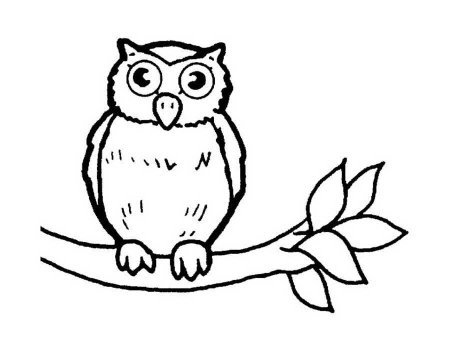 Сова мультяшный