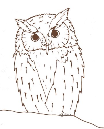 Сова рисунок для срисовки