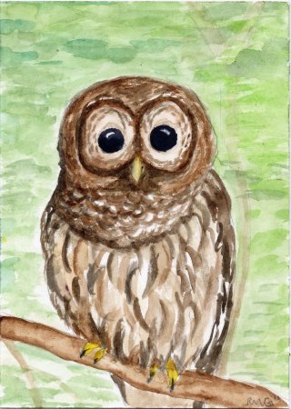 Как нарисовать сову