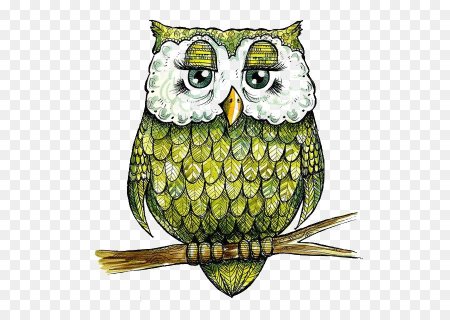 Рисование Сова в средней группе