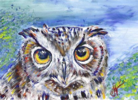 Филин раскраска для детей