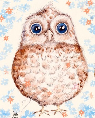 Сова рисунок