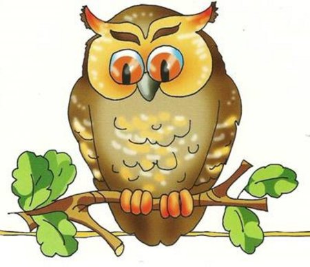 Сова рисунок