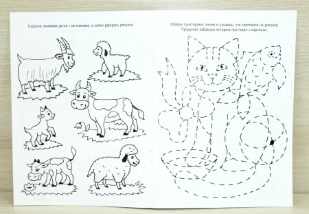 Раскраски с заданиями