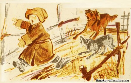 Филиппок толстой