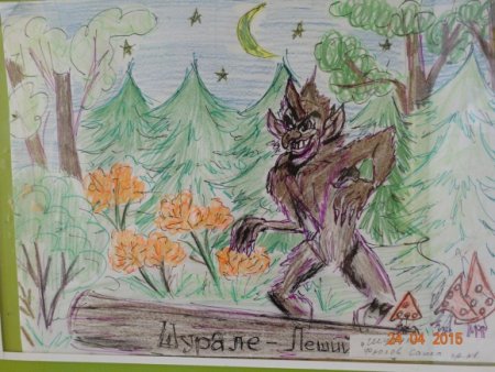 Старичок -Боровичок контуры