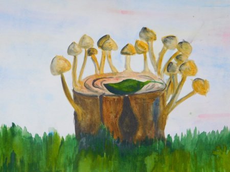 Рисование грибы на пеньке