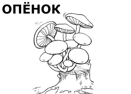 Раскраска гриб ложные опята