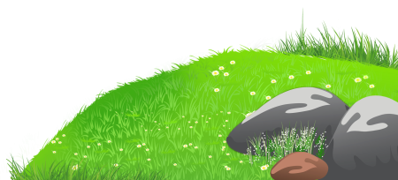 Полянка на прозрачном фоне