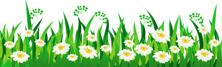 Травка с цветочками