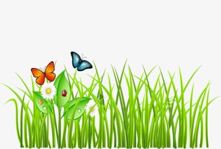 Трава из мультика