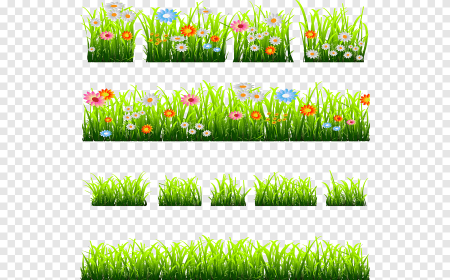 Травка с цветочками