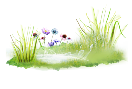 Луг на прозрачном фоне