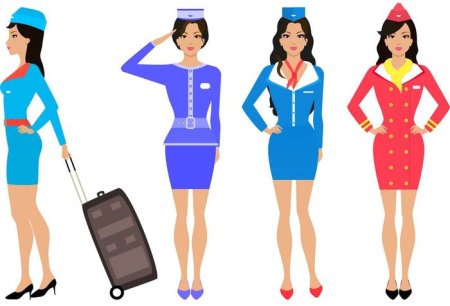 Бортпроводница рисунок