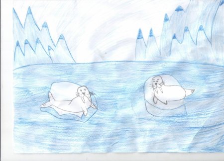 Антарктида рисунок