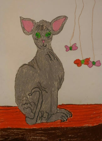 Рисование бтмых животных