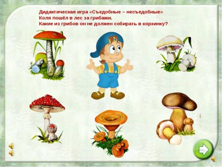 Игра съедобные и несъедобные грибы