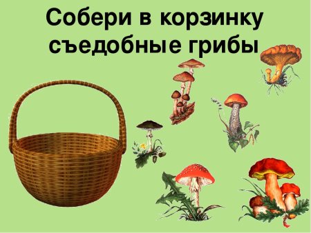 Грибы съедобные и несъедобные задания для детей