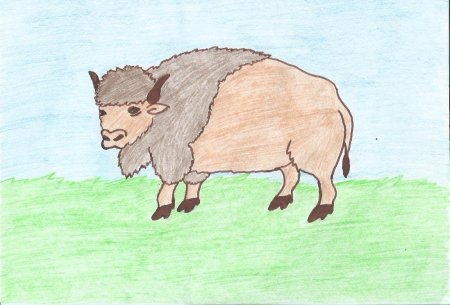 ЗУБР рисунок для детей